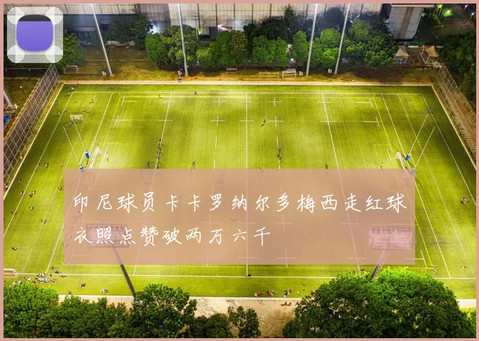 印尼球员卡卡罗纳尔多梅西走红球衣照点赞破两万六千