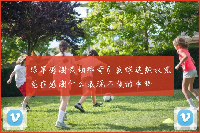 绿军感谢武切维奇引发球迷热议究竟在感谢什么表现不佳的中锋